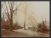 [Garden with buildings in distance]