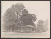 [Building by trees]