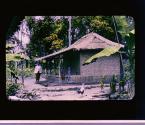 [Untitled]