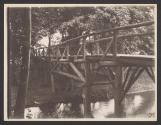 [Bridge made of logs]
