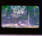 [Untitled]