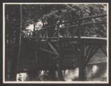[Bridge made of logs]