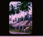 [Untitled]