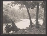 [River through trees]