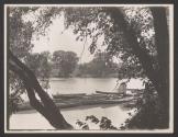 [Canoes in water through trees]