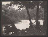 [River through trees]
