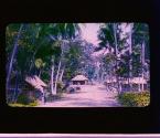 [Untitled]