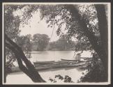 [Canoes in water through trees]