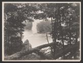 [Rapids through trees]