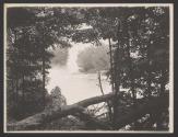 [Rapids through trees]