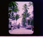 [Untitled]