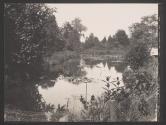 [Pond]