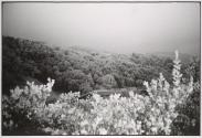 Forty Minutes in Novato