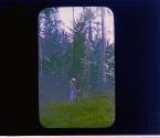 [Untitled]