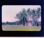 [Untitled]