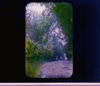 [Untitled]