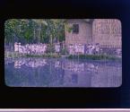 [Untitled]