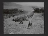 Hollister Ranch, Gaviota, California