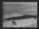 El Bulito Ranch - belonging to the Hollister family, Gaviota, California
