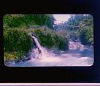 [Untitled]