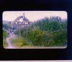 [Untitled]