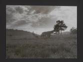 Dude Ranch, Ralston Creek Ranch, Golden, Colorado