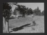 Dude Ranch, Ralston Creek Ranch, Golden, Colorado