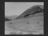 Hollister Ranch, Gaviota, California