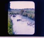 [Untitled]
