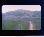[Untitled]