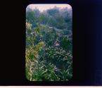 [Untitled]
