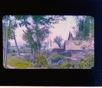[Untitled]