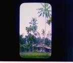 [Untitled]