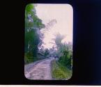 [Untitled]