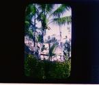 [Untitled]