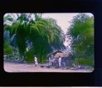 [Untitled]