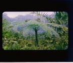 [Untitled]
