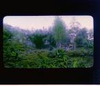 [Untitled]