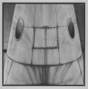 [Close-up of fuselage]