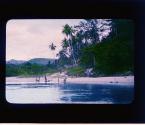 [Untitled]