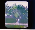 [Untitled]