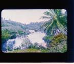 [Untitled]