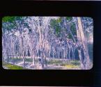 [Untitled]