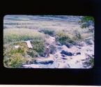 [Untitled]