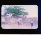 [Untitled]