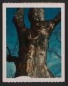 [Landscape with tree trunk and sky]