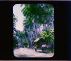 [Untitled]