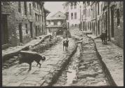 [Street view with dogs and villagers, Nepal]