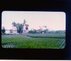 [Untitled]