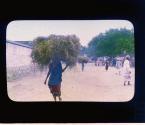 [Untitled]
